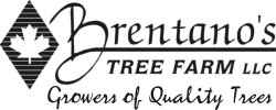 Brentano's Tree Farm Logo